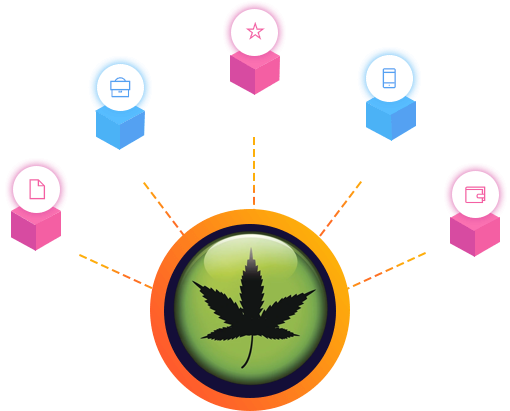 How MaCoin works